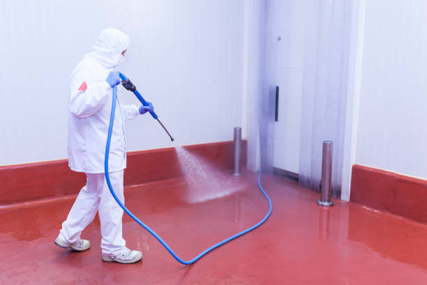Best Soft Washing for Delicate Surfaces in Foster Brook, PA